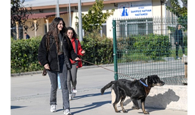 İzmirli hayvansever Çörekçi’nin emanetlerine İzmir Büyükşehir Belediyesi sahip çıktı görseli