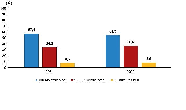 Girişimlerde Bilişim Teknolojileri Kullanım Araştırması, 2025 görseli