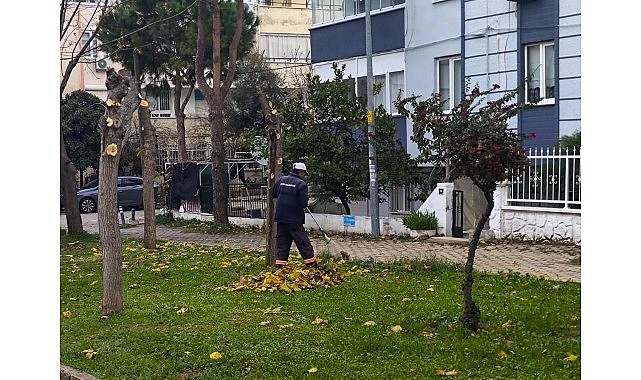 Didim Belediyesi Ekiplerinden İlçe Genelinde Yoğun Mesai görseli
