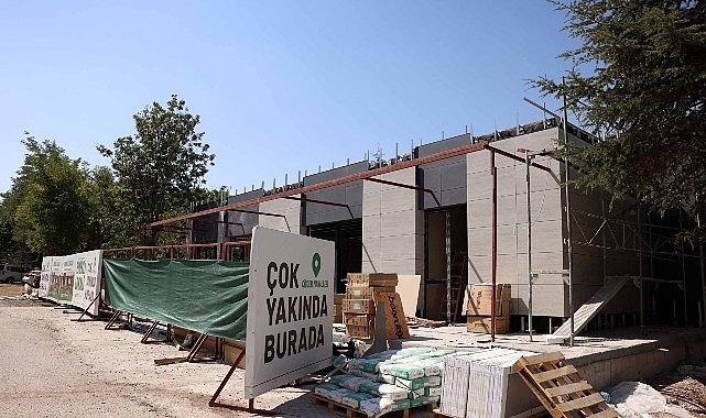 Çankaya, Çınarların Yeni Buluşma Noktası Olacak görseli