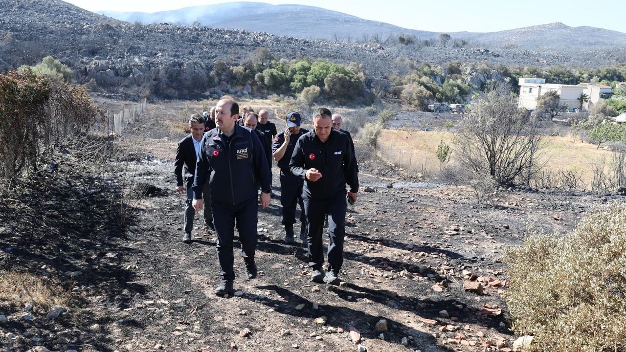 AFAD Başkanı Pehlivan, Çeşme'de yangın bölgesinde görseli