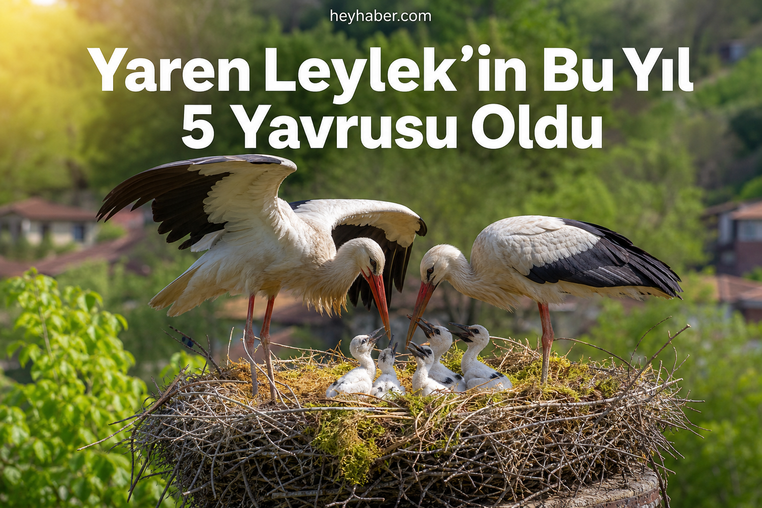 Yaren Leylek’in Bu Yıl 5 Yavrusu Oldu görseli