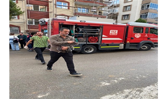 Mazgala düşen kayıp köpek ve yangında mahsur kalan kediler itfaiyenin çabasıyla kurtarıldı görseli