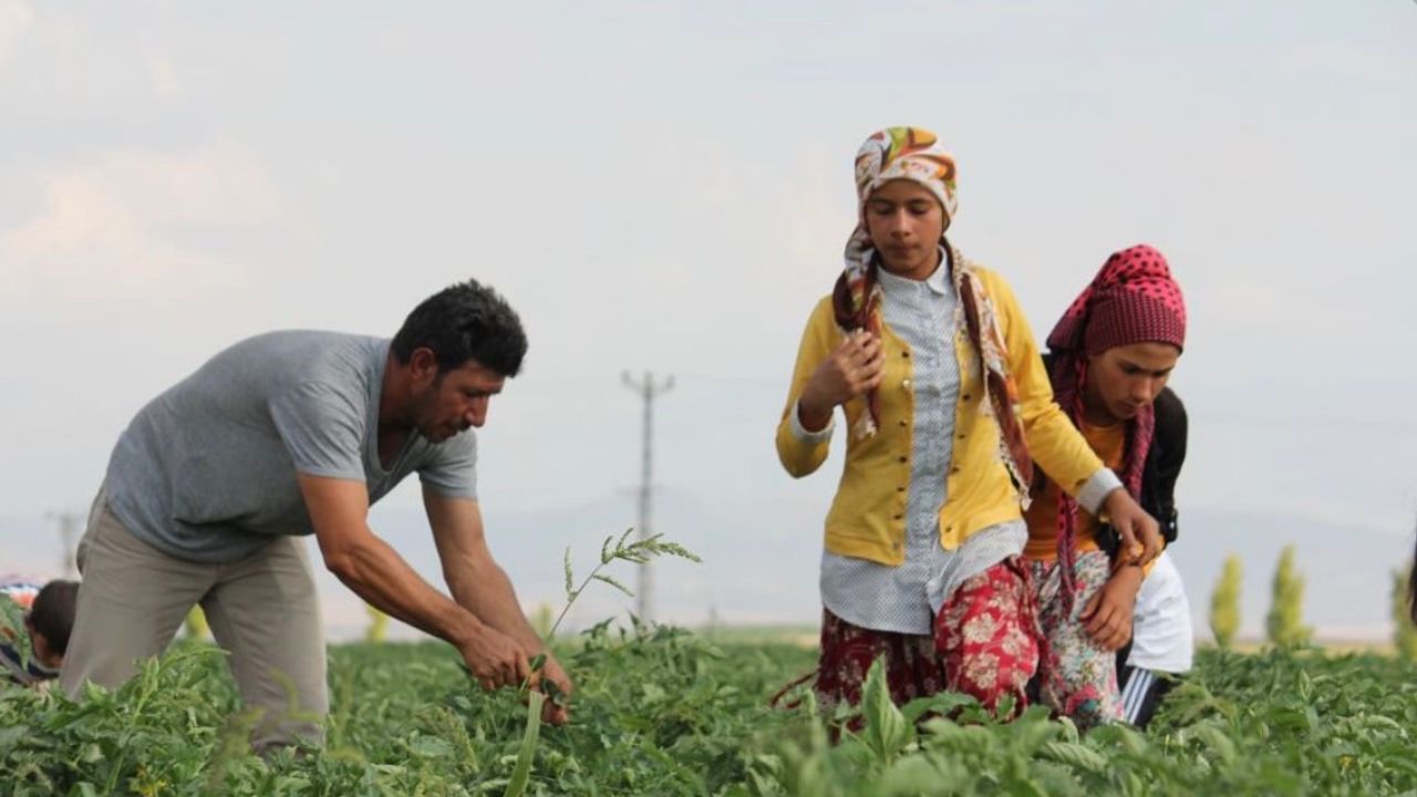 Tarım işçileri için 2026 yevmiye tavsiyesi açıklandı görseli