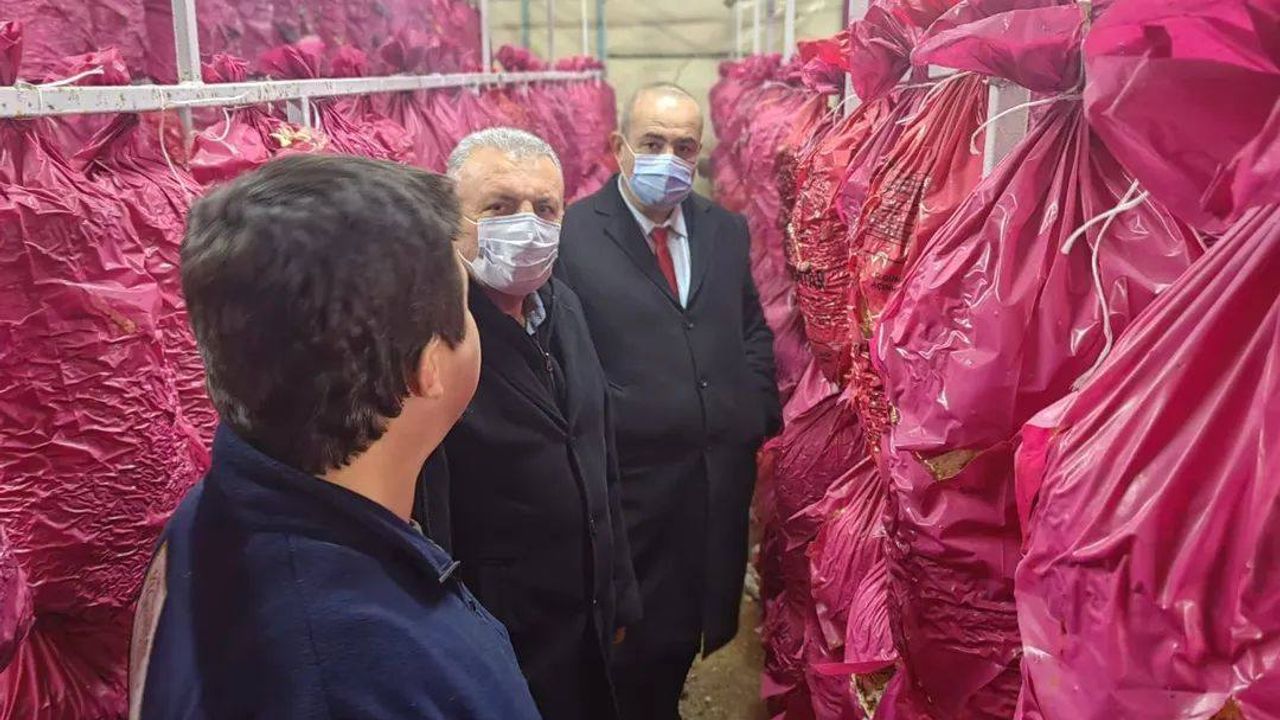 Mantarcılık kursunda teori ve uygulama buluştu görseli