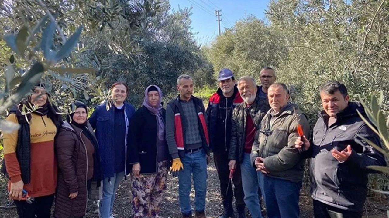 Antalya Serik’te meyve budama ve terbiye kursu verildi görseli