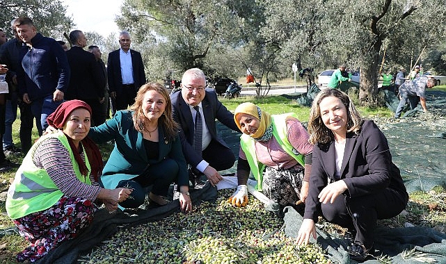 Zeytinin Başkenti Edremit’te MECİ Şenliği başlıyor görseli