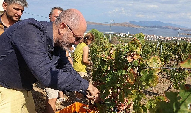 6–7 Eylül’de Bir Başkadır Avşa Etkinliği’nin Programı Açıklandı görseli