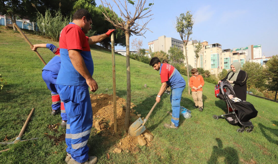 Kağıthane Belediyesi tarafından; ağaçlandırma çalışmaları kapsamında ilçenin farklı bölgelerine 60