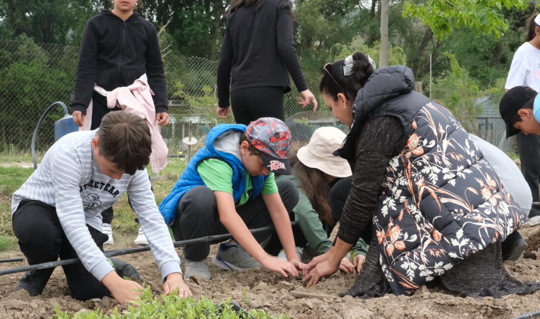 Eskişehir Büyükşehir Belediyesi Park ve Bahçeler Dairesi Başkanlığı Tohum Merkezi