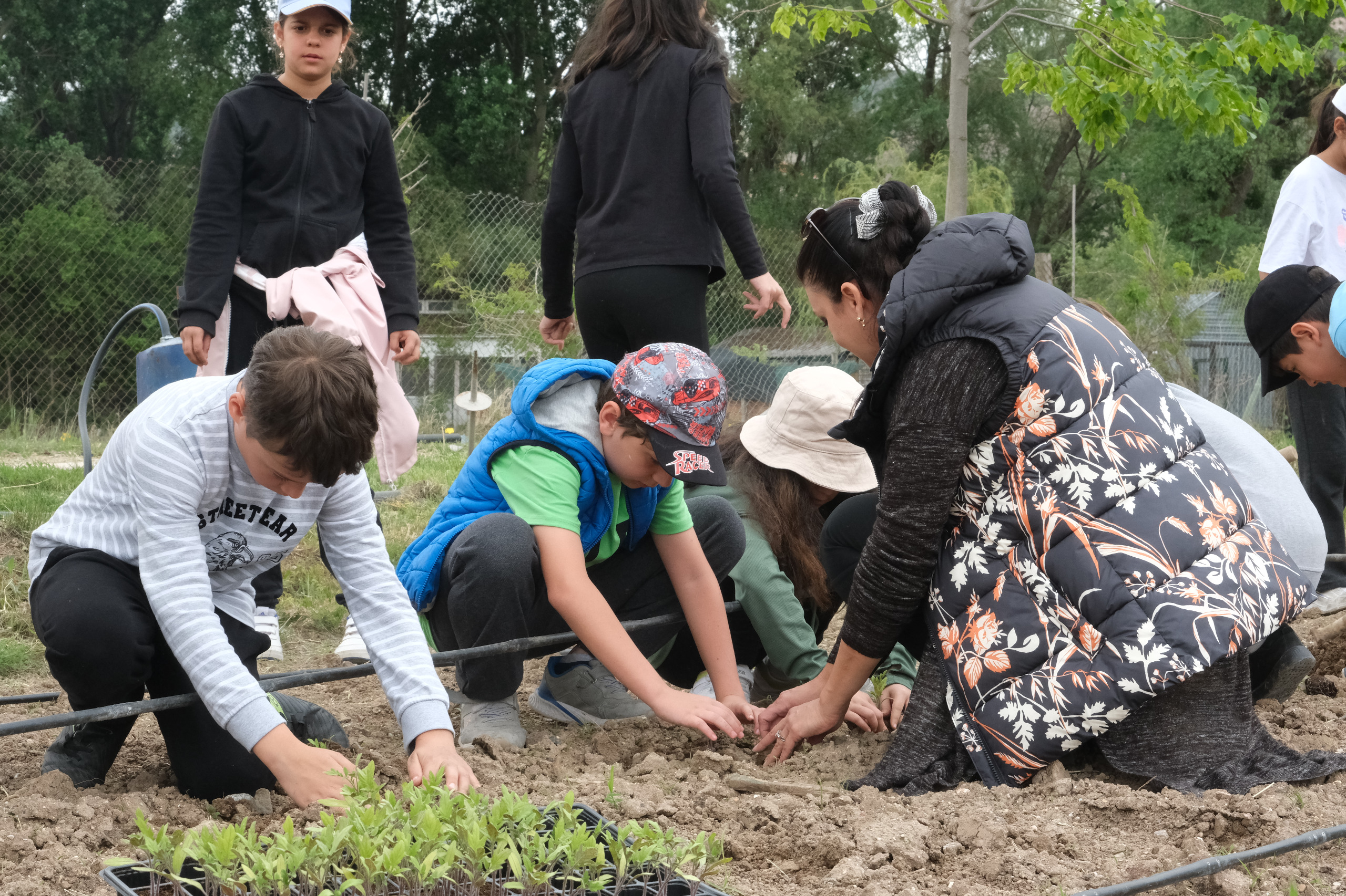 Eskişehir Büyükşehir Belediyesi Park ve Bahçeler Dairesi Başkanlığı Tohum Merkezi