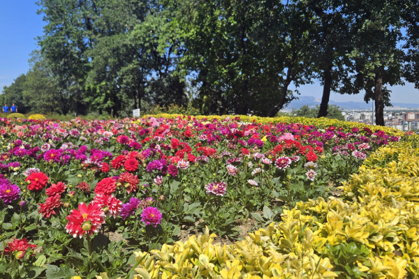 Osmangazi Belediyesi, yaz aylarının gelmesi ile birlikte ilçedeki park, refüj