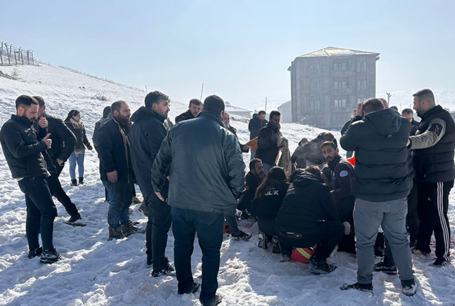 Son günlerde başıboş köpeklerin etrafta dolaşması vatandaşları korkutuyordu! Vatandaşlar başıboş