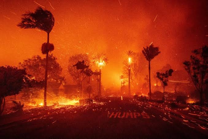 Amerika Birleşik Devletleri’nin California eyaleti alevlerle mücadele ediyor.