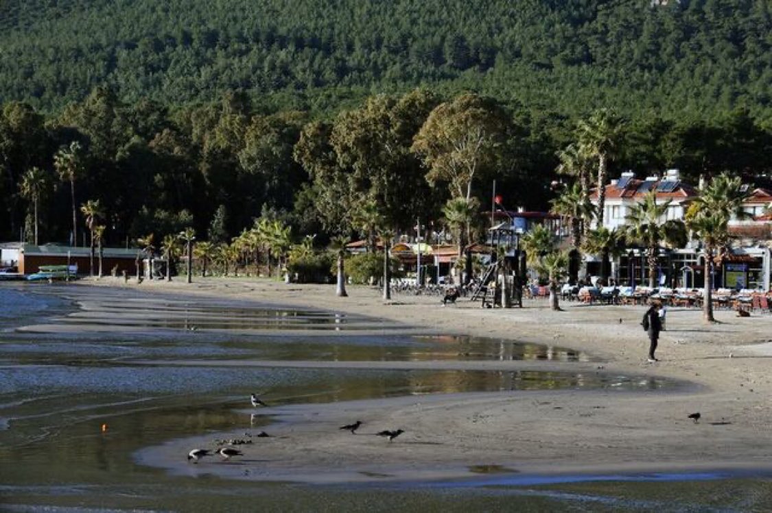 Muğla'nın Ula ilçesi Akyaka Mahallesi'nde deniz suyu, karadan 12 metre