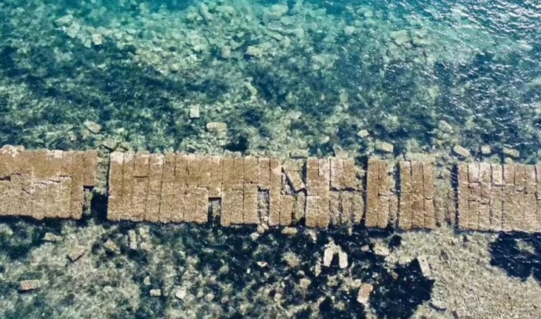 Her yıl dönemsel ortaya çıkan Kral Yolu bu yıl hiç